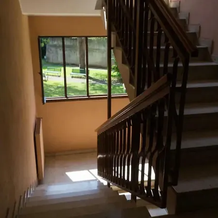 C Colorato Como